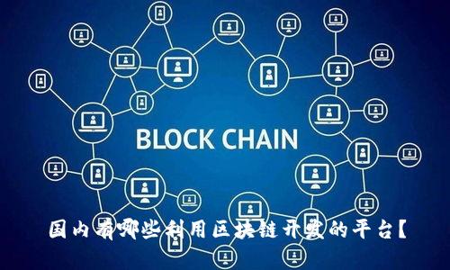 国内有哪些利用区块链开发的平台？