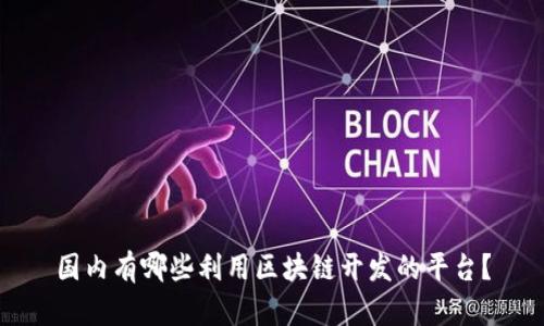国内有哪些利用区块链开发的平台？