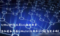 tpWallet怎么买bnb链的新币想