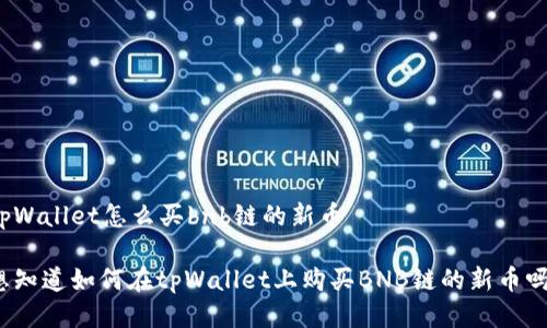 tpWallet怎么买bnb链的新币

想知道如何在tpWallet上购买BNB链的新币吗？