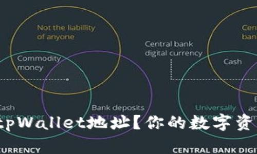 如何验证tpWallet地址？你的数字资产安全吗？