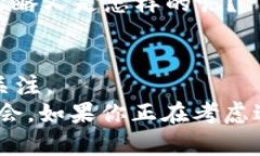 注意：由于内容涉及特定