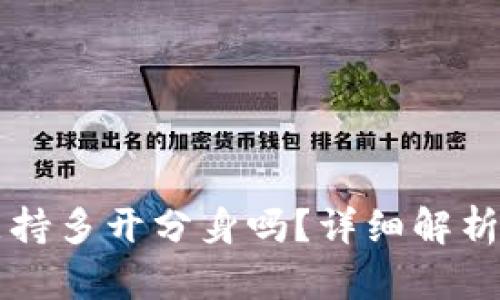 tpWallet支持多开分身吗？详细解析及使用技巧