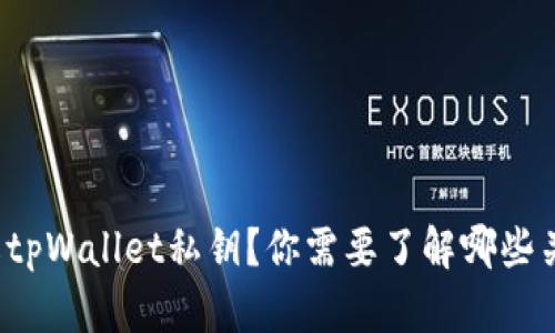 如何破解tpWallet私钥？你需要了解哪些关键知识？