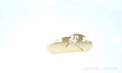 tpWallet更多工具在哪是许多