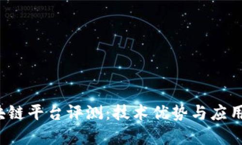  大通区块链平台评测：技术优势与应用前景分析